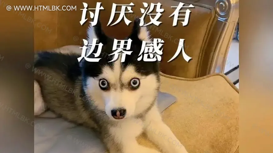 没有边界感是什么意思