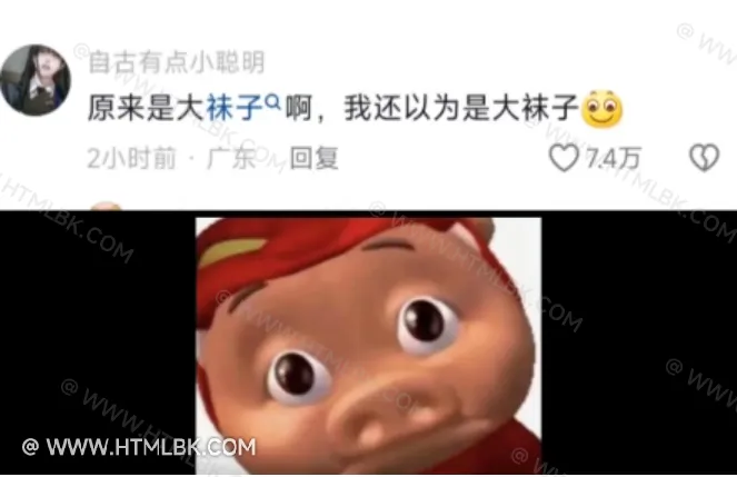 大祙子是什么梗